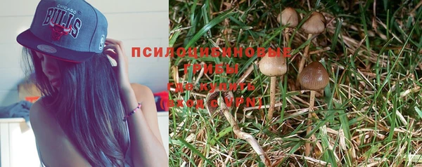 МДПВ Белокуриха