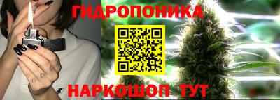 apvp Старая Купавна